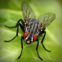 /album/%e3%83%80%e3%83%a9%e3%82%b9/photolia-a01-jpg/