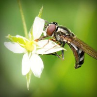 /album/%e3%83%80%e3%83%a9%e3%82%b9/photolia-a02-jpg/