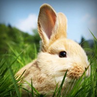 /album/%e3%83%80%e3%83%a9%e3%82%b9/photolia-a03-jpg/