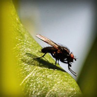 /album/%e3%83%80%e3%83%a9%e3%82%b9/photolia-a04-jpg/