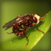 /album/%e3%83%80%e3%83%a9%e3%82%b9/photolia-a06-jpg/