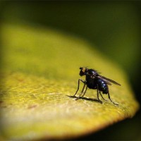 /album/%e3%83%80%e3%83%a9%e3%82%b9/photolia-a07-jpg/