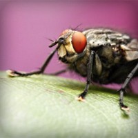 /album/%e3%83%80%e3%83%a9%e3%82%b9/photolia-a08-jpg/